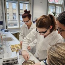 20250605_15280_processed_by_imagy